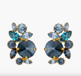 Load image into Gallery viewer, Roberta Earrings
